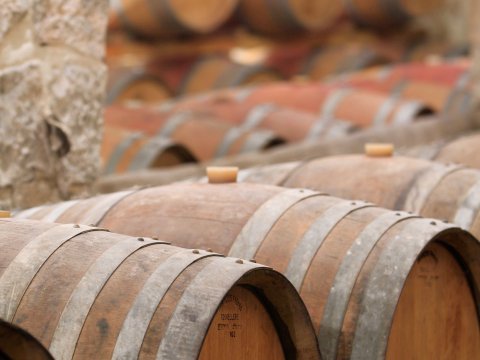 chateau dollieres 10